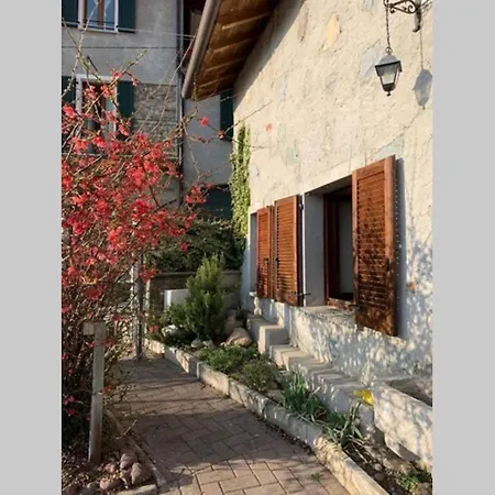 Nido Di Rongio Mandello del Lario