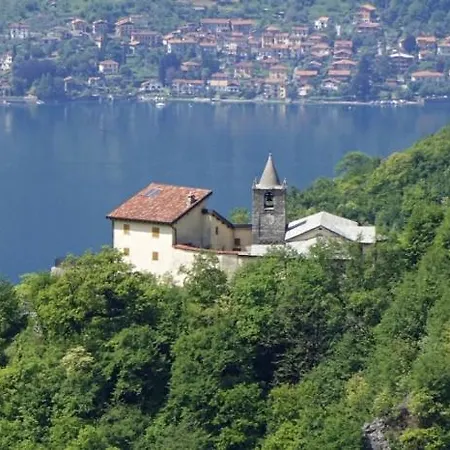 Nido Di Rongio *